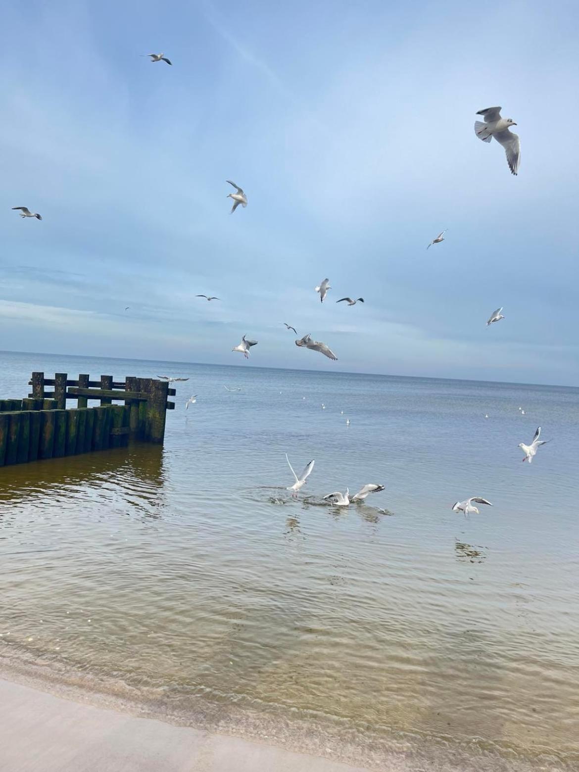 Apartament Apartament H204 z widokiem na basen Kołobrzeg Zewnętrze zdjęcie